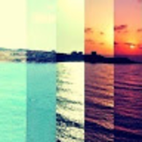 Meet your Posher, Madeline - Picture 1 of 1